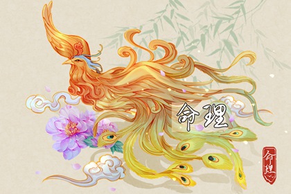 今日日历黄历 日历查询大全 2026年日历全年表