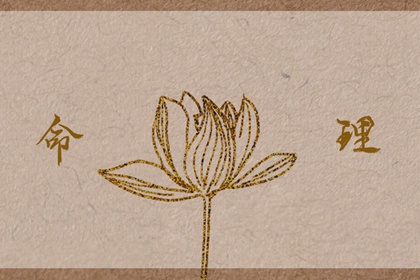 今日日历黄历 日历查询大全 2026年日历全年表